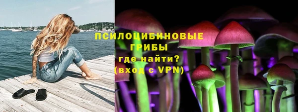прущий лед Вязники