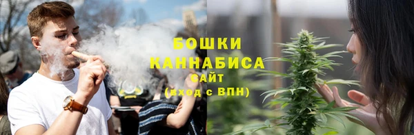 прущий лед Вязьма