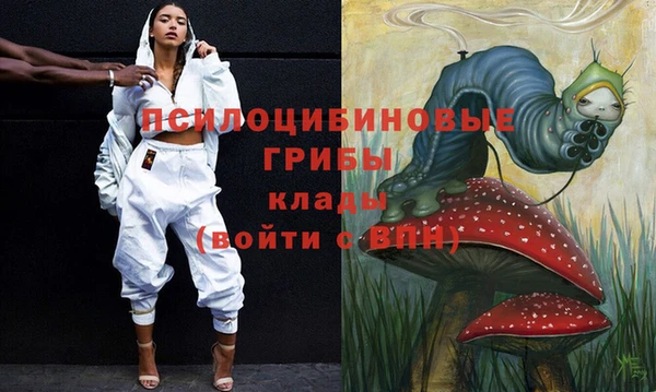 прущий лед Вязьма