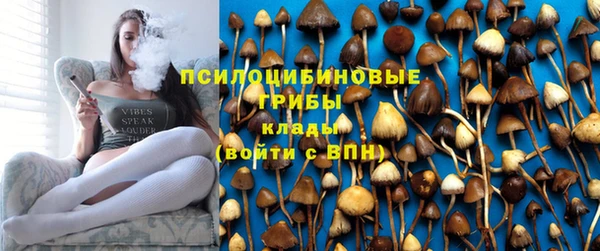 прущий лед Вязники