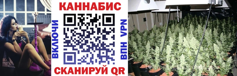 Конопля марихуана  Севастополь 